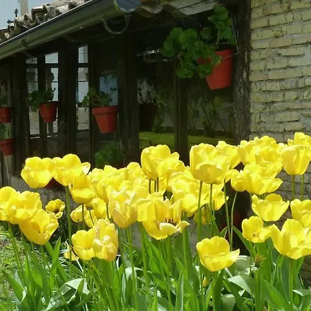 Casa Rural Mertxenea Landetxea-3